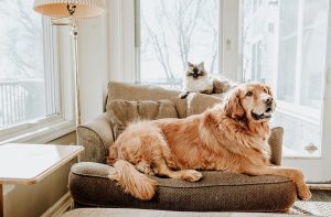 Best Friends